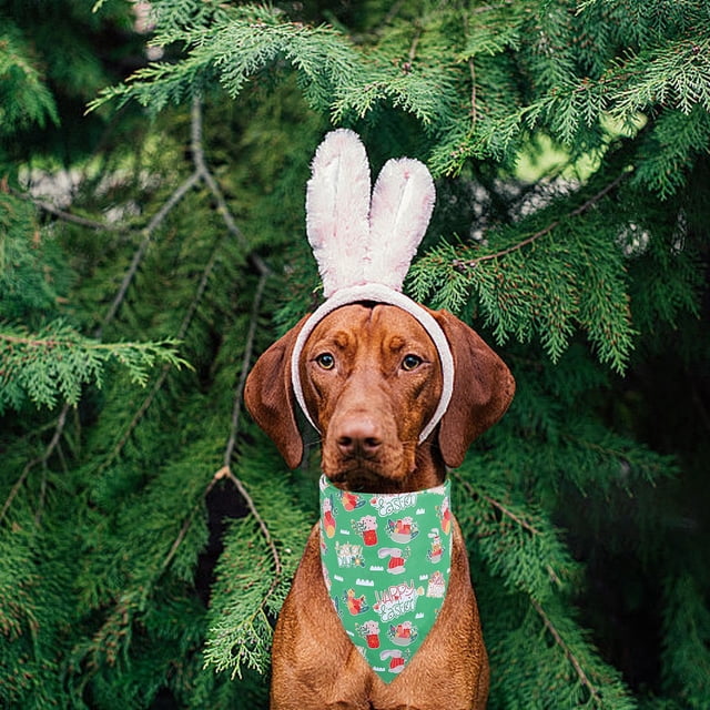 Bufanda de Pascua de dos caras para perros y gatos | Bandana triangular de licra multicolor | Accesorio elegante y duradero para mascotas | Babero festivo y servilleta para la hora de comer par