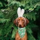 thumbnail image 1 of Bufanda de Pascua de dos caras para perros y gatos | Bandana triangular de licra multicolor | Accesorio elegante y duradero para mascotas | Babero festivo y servilleta para la hora de comer par, 1 of 5