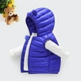 thumbnail image 5 of XBASW Baby Toddler Hooded Vest for Boys Girls Winter Puffer Cotton Waistcoat Zipper up Sleeveless Jacket Size 1-6Y, 5 of 10