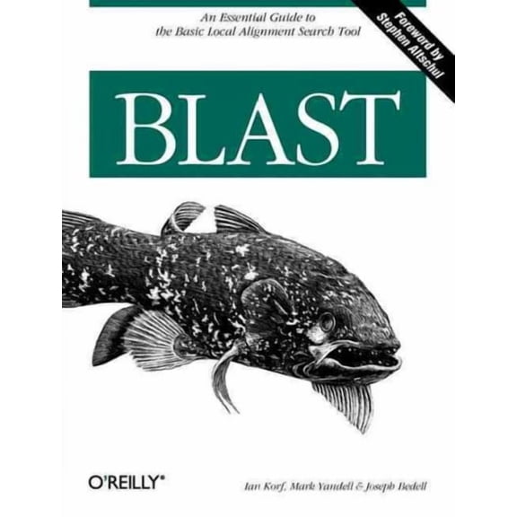 BLAST (Paperback)