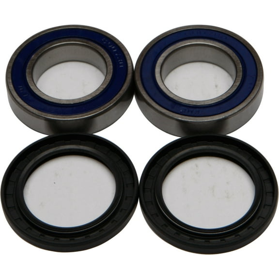 All Balls 25-1321 Wheel Bearing & Seal Kit