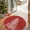 Red-R, variant on Lahome Christmas Round Rug 3ft Area Rug Red Christmas Tree Rug Washable Rug Indoor Carpet Decorative Circle Rug Round Non Slip Soft Rug Holiday Decor for Kitchen Bedroom Nursery,Red