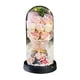 thumbnail image 1 of Luz Nocturna con Ramo de Rosas Artificiales y Cubierta de Cristal | Regalo Romántico de Flores de Jabón Led para Novia o Esposa | Decoración de Cumpleaños y Aniversario | Lámpara Floral de Larga Dura, 1 of 1