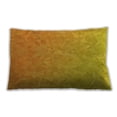 thumbnail image 1 of Ahgly Company Patterned Indoor Rectangular Neon Orange Lumbar Throw Pillow, 13 inch by 19 inch, 1 of 5