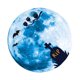 thumbnail image 1 of Inteprter Pegatina de pared decoración de Halloween Luna ventana calcomanía luminosa 3D papel tapiz autoadhesivo para decoración de fiesta en casa Kits de decoración para fiestas ROTURA Inteprter HA007412-02, 1 of 6