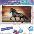 thumbnail image 3 of YALKIN 5D Large Diamond Painting Kits for Adults (3.9x3.9inch), Running Horse Round Full Round Drill Nature Gem Arts Paint by Diamonds Kits Diamond Art Kits for Home Wall Decor Relax Gift, 3 of 4