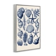 thumbnail image 3 of Stupell Industries Conch & Creature Collection Gray Framed Giclee Art, design by LSR Design Studio, 18 x 12, 3 of 8
