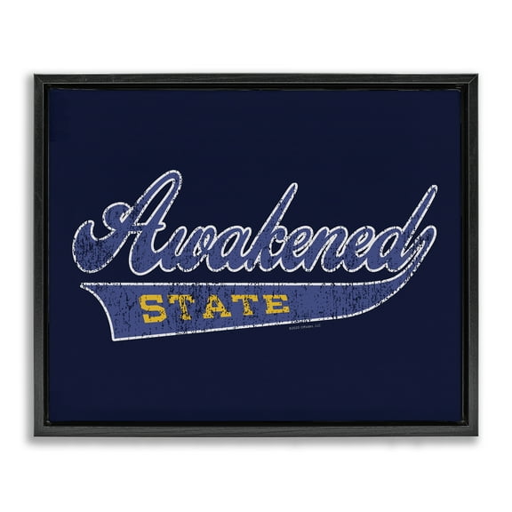 Stupell Industries Awakened State Varsity Novelty & Humor Painting Black Floater Framed Canvas Art Print Wall Art, 21 x 17