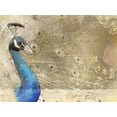thumbnail image 2 of Allen, Kimberly 18x15 White Modern Wood Framed Museum Art Print Titled - Peacock Royal, 2 of 4