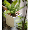 thumbnail image 5 of Modern White Planter Square, 5 of 6