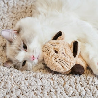 Toy cats that cheap purr and move