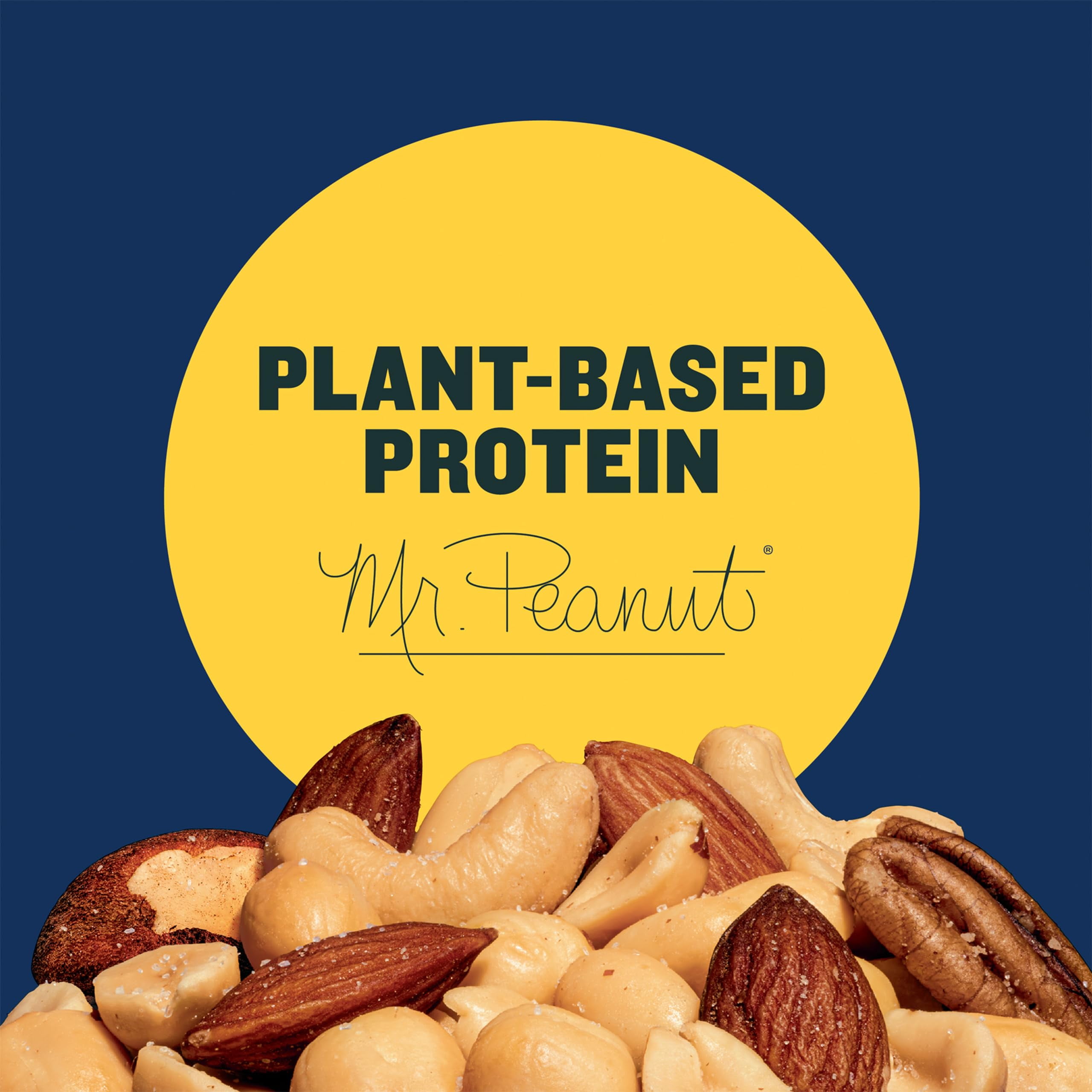 PLANTERS Lightly Salted Mixed SE33&nbsp;Nuts, 8.75 oz canister