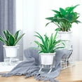 thumbnail image 4 of Bgsha Self Watering Flowerpot Mini Round Design Succulent Plant Indoor Lazy Flower Pot, 4 of 10