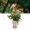 thumbnail image 1 of Macetero Con Cabeza, Maceteros Ligeros Para Interior, 1 of 7