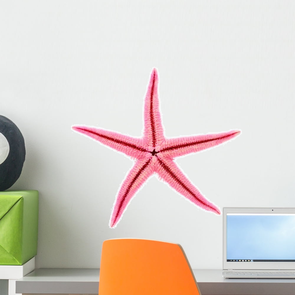 Pink Starfish Wall Decal by Wallmonkeys Peel and Stick Graphic (18 in W