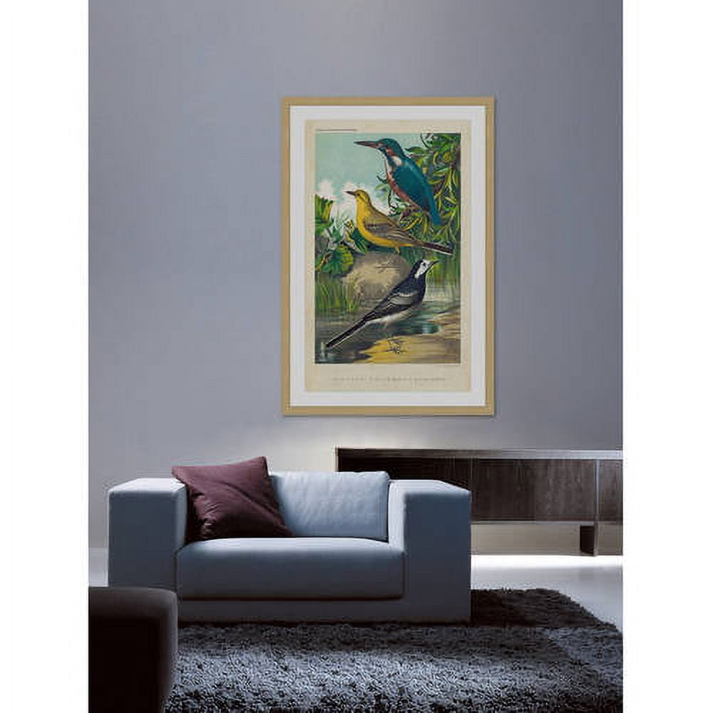 Marmont Hill "Kingfisher & Wagtail" Framed Painting Print