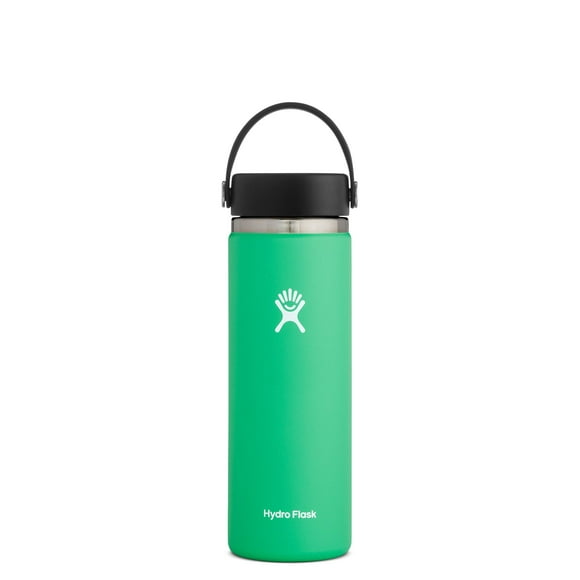 Hydro Flask Water Bottle - Stainless Steel & Vacuum Insulated - Wide Mouth 2.0 with Leak Proof Flex Cap - 20 oz, Spearmint