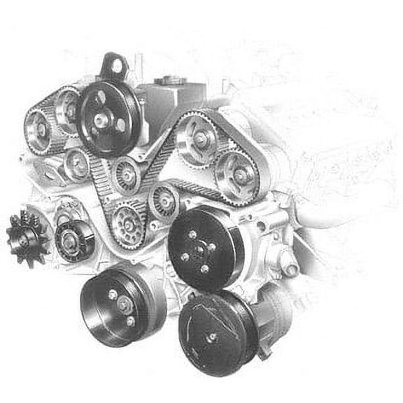 Dayco Timing Component Kit T-Belt Tensioner Spring Fits select: 1993-1997 TOYOTA COROLLA, 1993-1997 GEO PRIZM