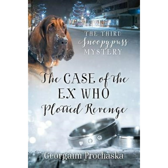 The Case of the Ex Who Plotted Revenge (Paperback)