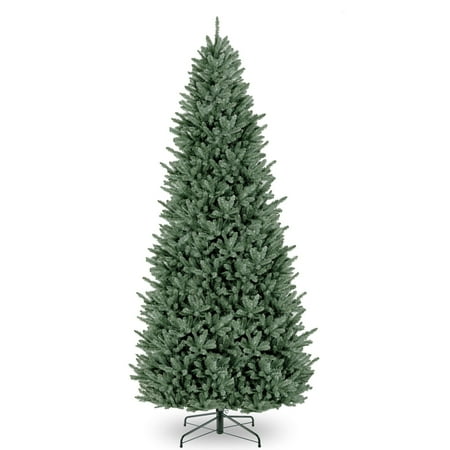 12 ft. Natural Fraser Slim Fir Tree