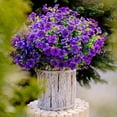 thumbnail image 1 of Violet Simulation Flower Simulation Plantss Wall Home Decoration Ornament, 1 of 1