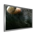 thumbnail image 2 of Designart 'Close-Up Of Eye Fighting Bull Head ' Farmhouse Framed Art Print, 2 of 4