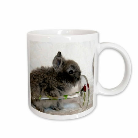 

3dRose Lionhead Bunny and Wine Glass Ceramic Mug 15-ounce