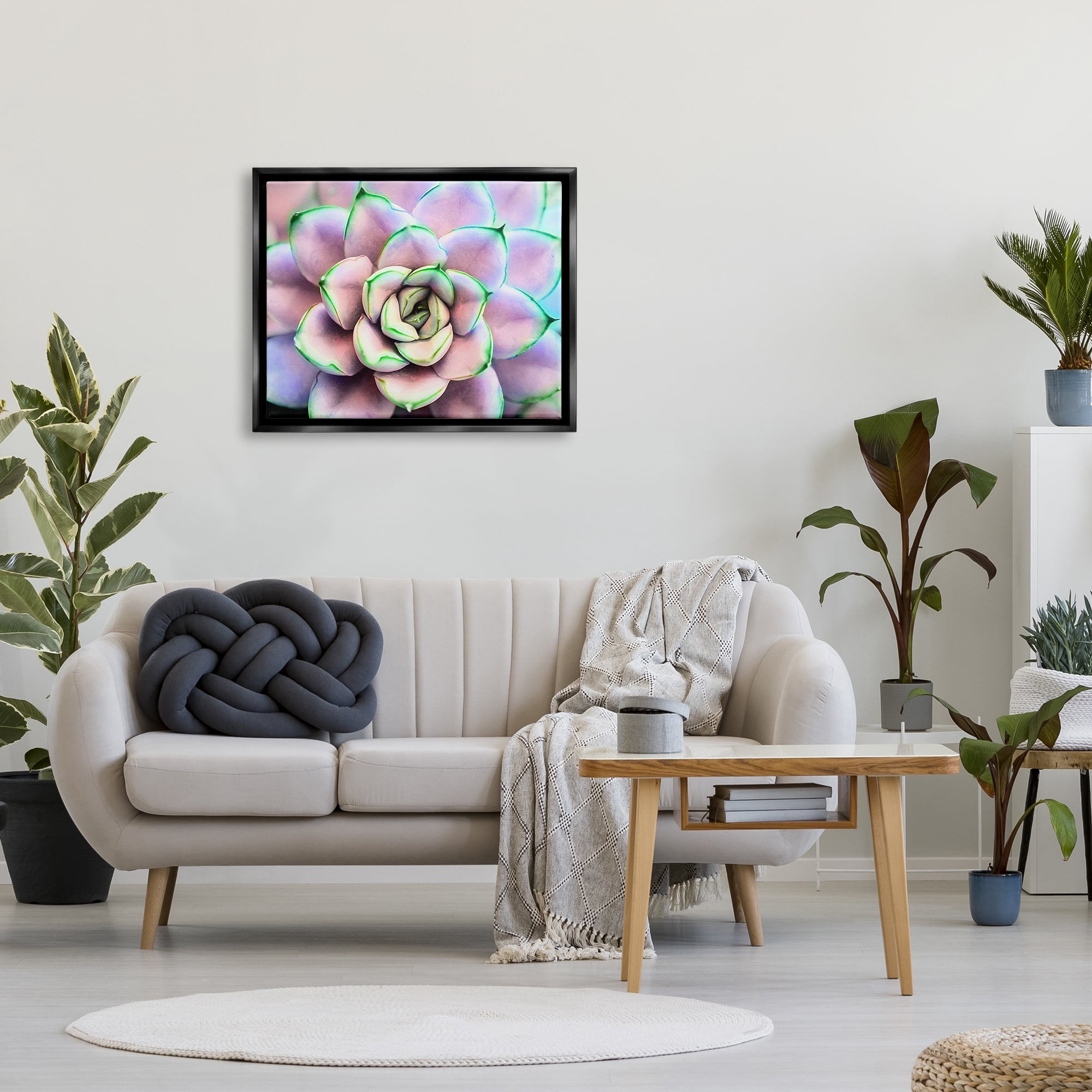 Stupell Industries Purple & Green Succulent Petals Botanical & Floral Photography Black Floater Framed Art Print Wall Art
