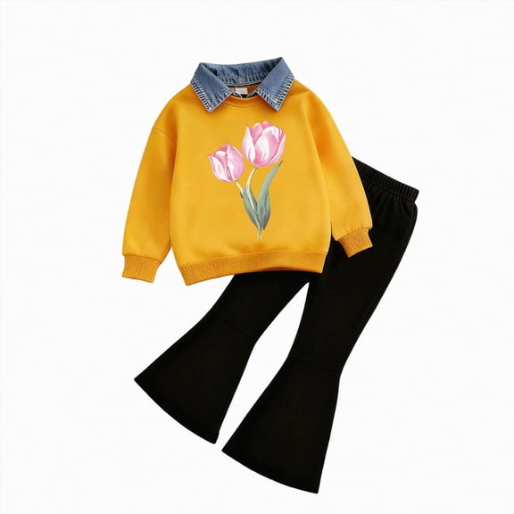 TAmten Girl Sets 6-7 Girls 2 Piece Outfits Long Sleeve Butterfly Sweatshirt/Hoodie & Flared Pants Fall Clothing Set Size 2-7 Years(B,5-6 Years)