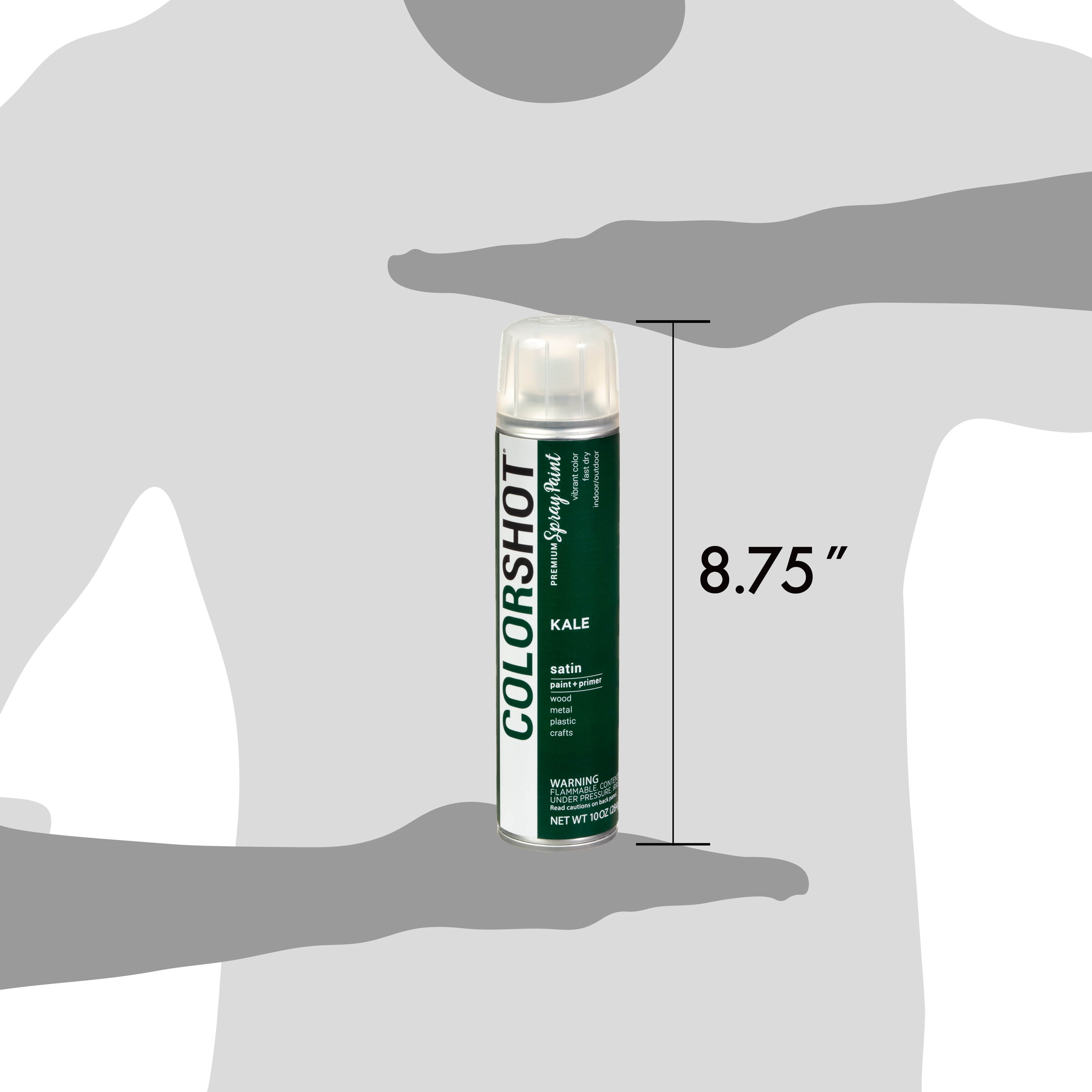 COLORSHOT Satin Spray Paint, Kale (Dark Green), 10 oz, Fast-Drying Acrylic Paint, Indoor & Outdoor Use