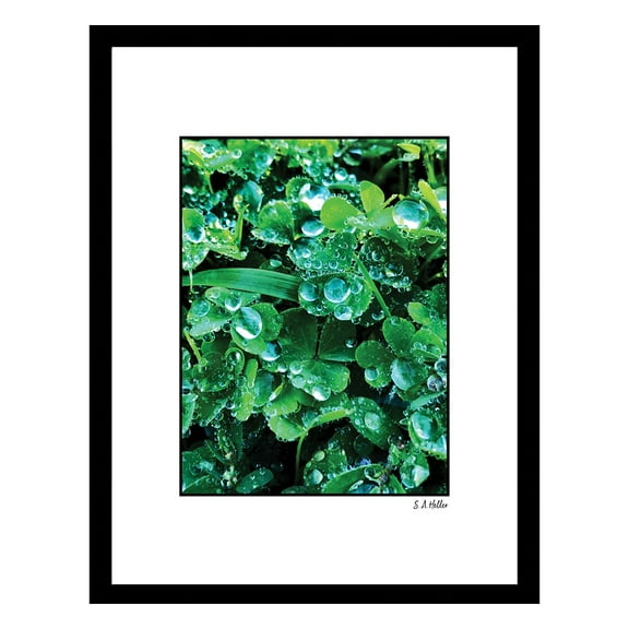 DEW MORNING Framed Printed Photograph