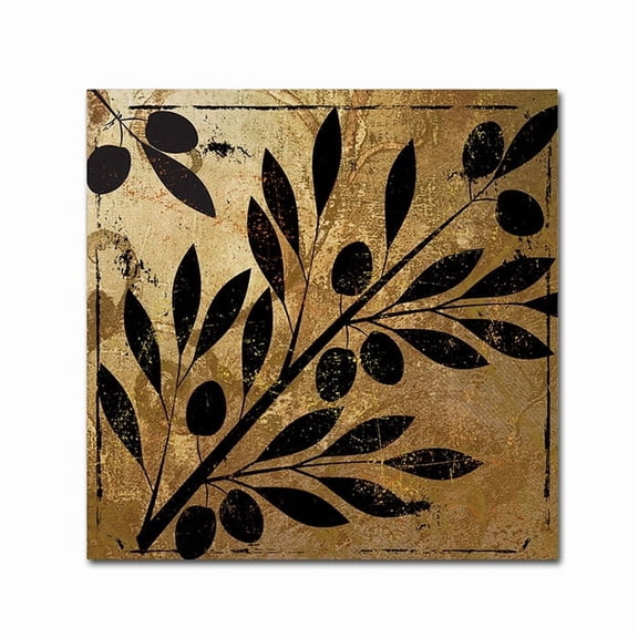 Trademark Fine Art "Bellissima II" Canvas Art by Color Bakery