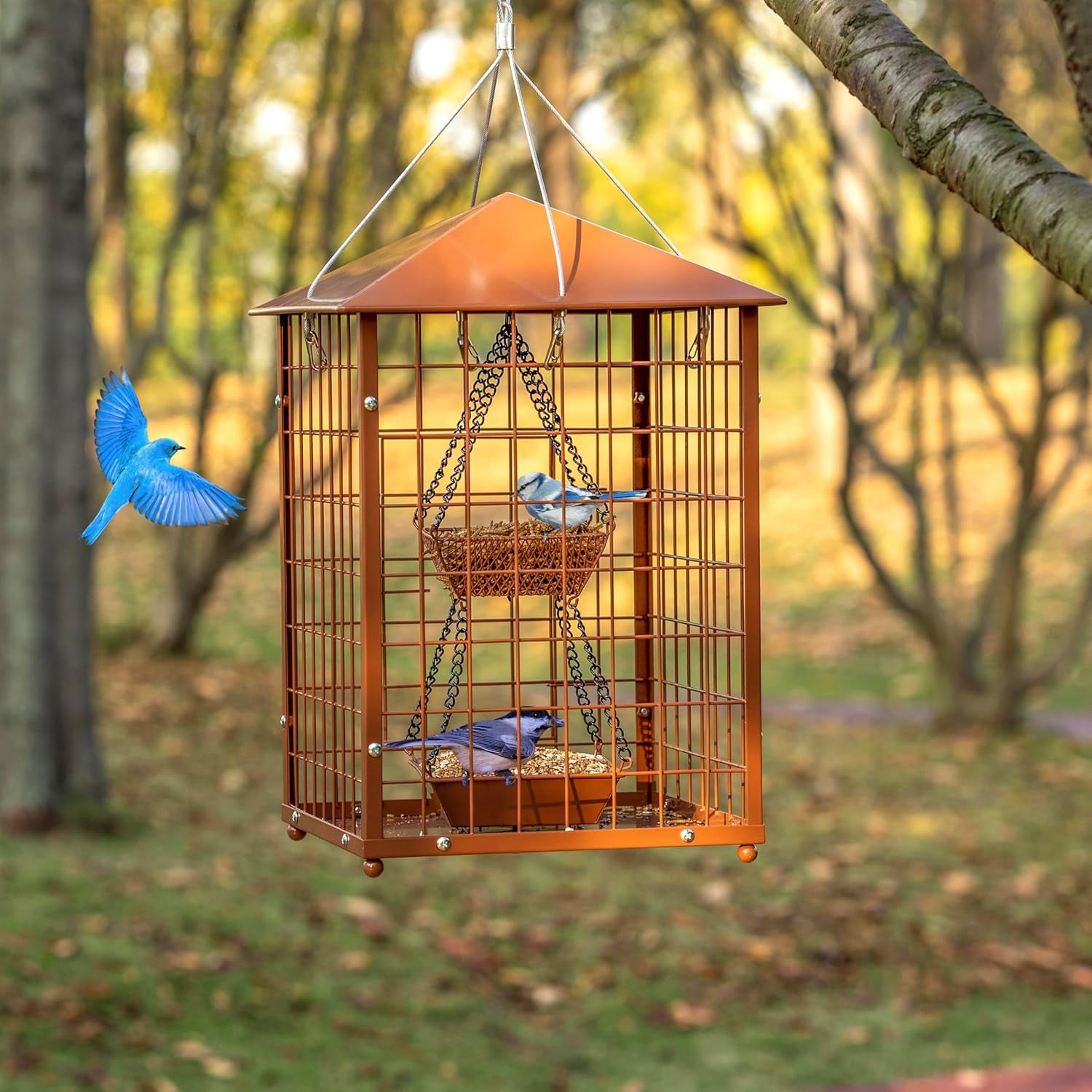Bird Feeders for Bluebirds - Metal - Huge Caged Squirrel-Proof Bird Feeders with 2 Cups, DIY Wild Bird Feeders Outdoor Hanging (Brown), Attract Wild Birds, 2lbs Seed Capacity+1  Cup