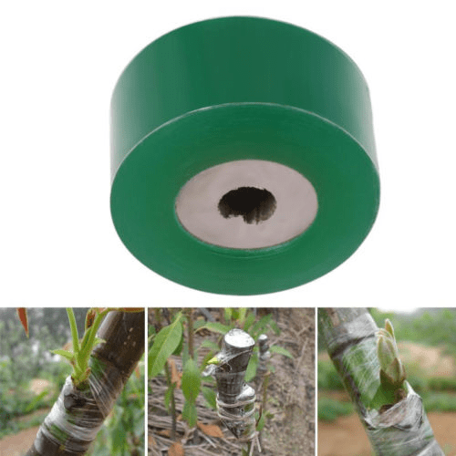 Grafting Tape Stretchable Self-adhesive Tool For Garden Fruit Tree 2cm *100m 