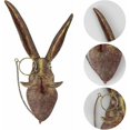 thumbnail image 4 of Escultura de pared con cabeza de animal, decoración de pared, conejo, ciervo, oso, zorro, cabeza de Mickey con gafas, colgante de animal de resina -C, 4 of 5