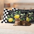 thumbnail image 3 of Hello Summer Lemons Outdoor Pillow Covers Pack of 2 Farmhouses Fruits Black White Checkered Waterproof Throw Pillow Covers Decorative Cushion Cases for Patio Garden Tent Balcony Couch 20x12 inch, 3 of 9