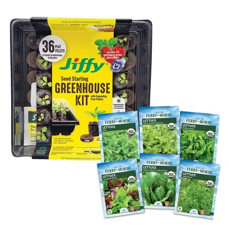 Jiffy Seed Starting Tray Kit, 36 Cell 36mm Peat Pellets with Ferry-Morse Cold Hardy Organic Lettuce Seed Variety Pack