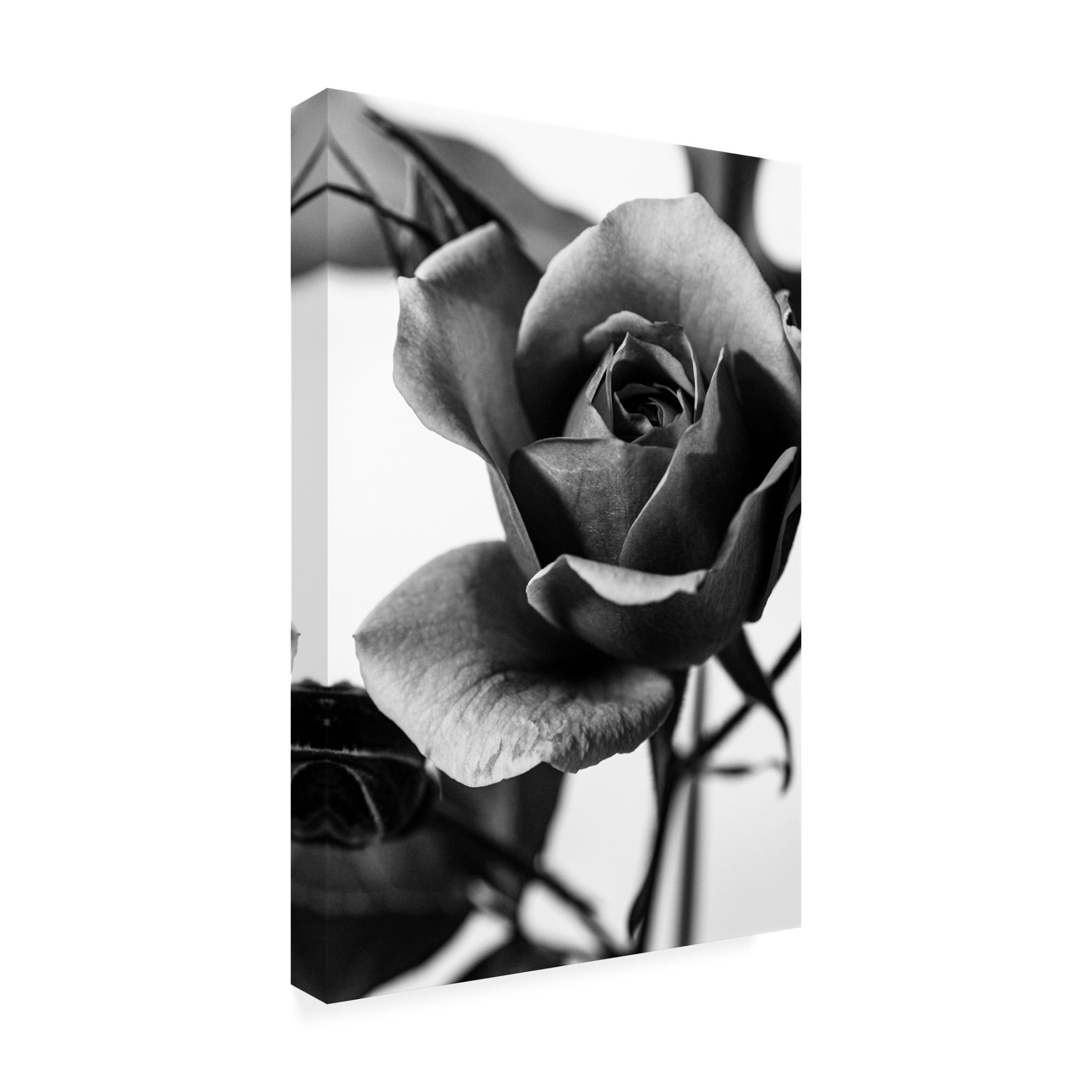 Trademark Fine Art CYAN Stella Let Me Know Canvas Wall Art