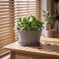 thumbnail image 6 of 1Pack 7.4 Inch Ruffled Small Plant Pots with Drainage Holes and Saucers, Dark Gray Plastic Scalloped Flower Pots Stackable Nursery Planters for Indoor Outdoor Succulents Herbs Houseplants, 6 of 7