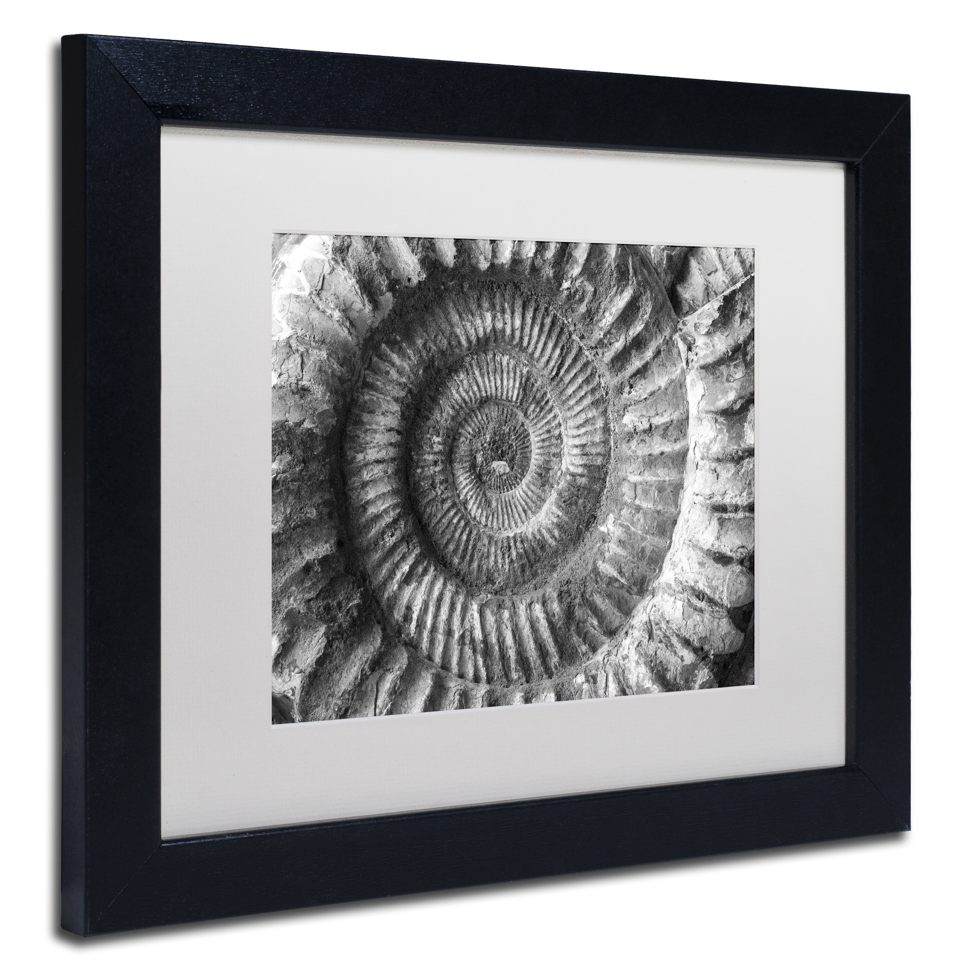 Trademark Fine Art "Amonita 2" Canvas Art by Moises Levy White Matte, Black Frame