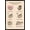 Black Framed Version, variant on Pusheen - Thankful Wall Poster with Push Pins, 14.725" x 22.375"