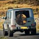 thumbnail image 5 of Balery Sunset Meditating Doberman Cubiertas para Neumáticos - Protector Resistente para Neumáticos de Camioneta, SUV, Remolque, Camper y RV-15 inch, 5 of 6