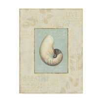 Trademark Fine Art 'Soothing Words Shells II' Canvas Art by Lisa Audit