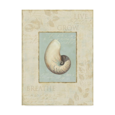 Trademark Fine Art 'Soothing Words Shells II' Canvas Art by Lisa Audit
