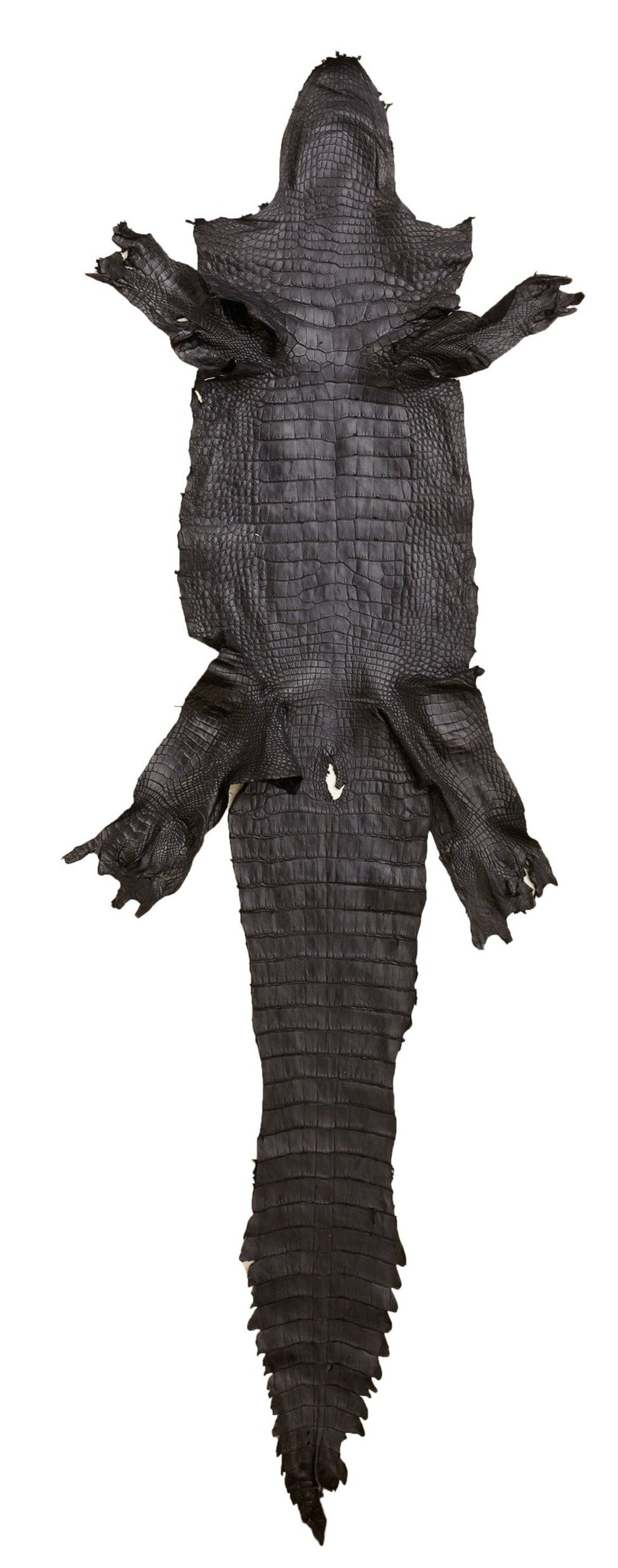 Brown Genuine Real Crocodile Alligator Skin Leather Hide For Decoration 