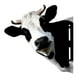 thumbnail image 1 of iron Cow Yard Art Cute Peeking Cattle Yard Decor, 1 of 5