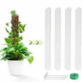 thumbnail image 4 of Naiovety La planta en conserva interior del ABS pega la ayuda única para el musgo fácil poste del crecimiento para las plantas Jardín y Patio Juego de 6 piezas, 4 of 6