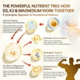 thumbnail image 4 of Dr. Austin Liposomal Vitamin D3 5000IU with K2 & Magnesium | Nano Targeted Delivery for High Absorption | Prenatal & Daily Immune Support | 60 Softgels (1), 4 of 9