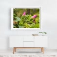 thumbnail image 3 of Butterfly on Hibiscus Bloom - Pennsylvania Photography Butterfly Flowers Nature Botanical Insect Garden Floral White Framed Wall Art Print 24 x 36 inches, 3 of 4