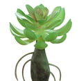 thumbnail image 1 of Coofit Mini Artificial Succulent DIY - Faux Succulent Plant Plastic Greenery Decoration, 1 of 3